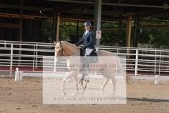 HCWE-Sept-Sun-Dressage-0032-3