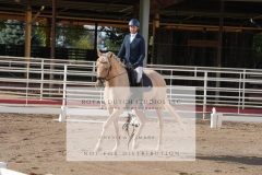 HCWE-Sept-Sun-Dressage-0033-3