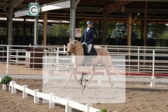 HCWE-Sept-Sun-Dressage-0034-3