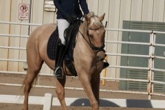 HCWE-Sept-Sun-Dressage-0035-3