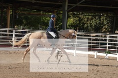 HCWE-Sept-Sun-Dressage-0037-3