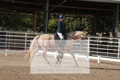 HCWE-Sept-Sun-Dressage-0038-3