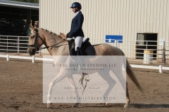 HCWE-Sept-Sun-Dressage-0040-3