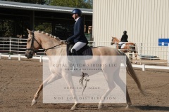 HCWE-Sept-Sun-Dressage-0041-3