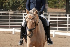 HCWE-Sept-Sun-Dressage-0042-3