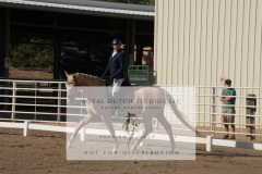 HCWE-Sept-Sun-Dressage-0044-3