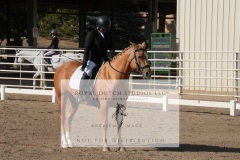 HCWE-Sept-Sun-Dressage-0046-3