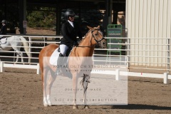 HCWE-Sept-Sun-Dressage-0047-3