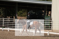 HCWE-Sept-Sun-Dressage-0048-3