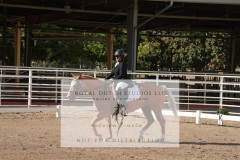 HCWE-Sept-Sun-Dressage-0049-3