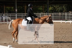 HCWE-Sept-Sun-Dressage-0050-3