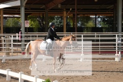 HCWE-Sept-Sun-Dressage-0051-3
