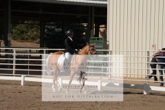 HCWE-Sept-Sun-Dressage-0052-3
