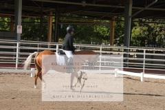 HCWE-Sept-Sun-Dressage-0055-3