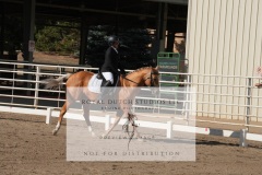 HCWE-Sept-Sun-Dressage-0056-3