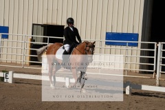HCWE-Sept-Sun-Dressage-0057-3