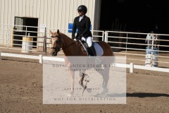 HCWE-Sept-Sun-Dressage-0058-3