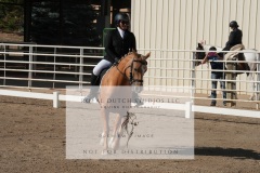 HCWE-Sept-Sun-Dressage-0063-3