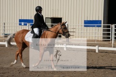 HCWE-Sept-Sun-Dressage-0064-3