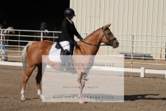 HCWE-Sept-Sun-Dressage-0065-3