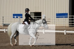 HCWE-Sept-Sun-Dressage-0068-3