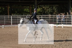 HCWE-Sept-Sun-Dressage-0069-3