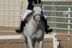 HCWE-Sept-Sun-Dressage-0072-3