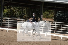 HCWE-Sept-Sun-Dressage-0074-3