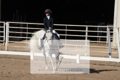 HCWE-Sept-Sun-Dressage-0076-3