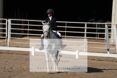 HCWE-Sept-Sun-Dressage-0077-3