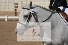 HCWE-Sept-Sun-Dressage-0079-3