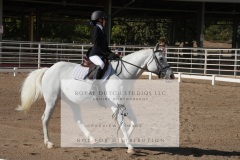 HCWE-Sept-Sun-Dressage-0080-3