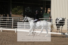 HCWE-Sept-Sun-Dressage-0081-3