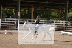 HCWE-Sept-Sun-Dressage-0082-3