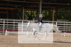 HCWE-Sept-Sun-Dressage-0083-3