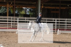 HCWE-Sept-Sun-Dressage-0084-3