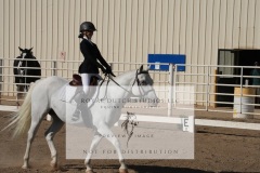 HCWE-Sept-Sun-Dressage-0086-3