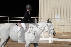 HCWE-Sept-Sun-Dressage-0088-3