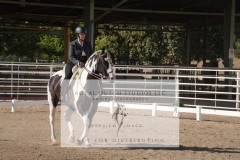 HCWE-Sept-Sun-Dressage-0089-3