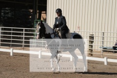 HCWE-Sept-Sun-Dressage-0091-3