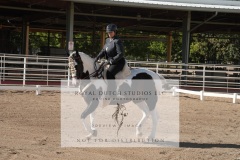 HCWE-Sept-Sun-Dressage-0092-3