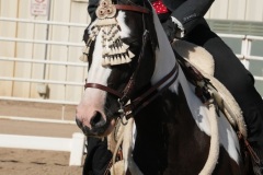 HCWE-Sept-Sun-Dressage-0094-3