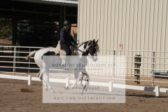 HCWE-Sept-Sun-Dressage-0096-3