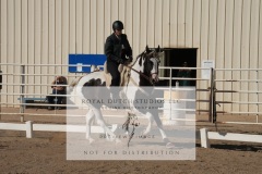 HCWE-Sept-Sun-Dressage-0097-3