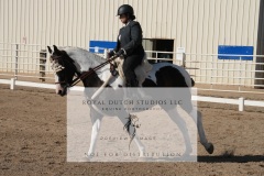 HCWE-Sept-Sun-Dressage-0099-3