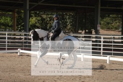 HCWE-Sept-Sun-Dressage-0104-3