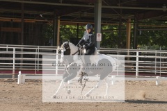 HCWE-Sept-Sun-Dressage-0106-3