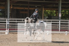 HCWE-Sept-Sun-Dressage-0107-3