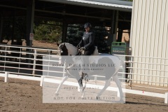 HCWE-Sept-Sun-Dressage-0109-3