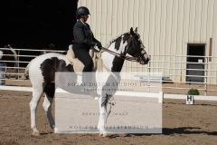 HCWE-Sept-Sun-Dressage-0111-3
